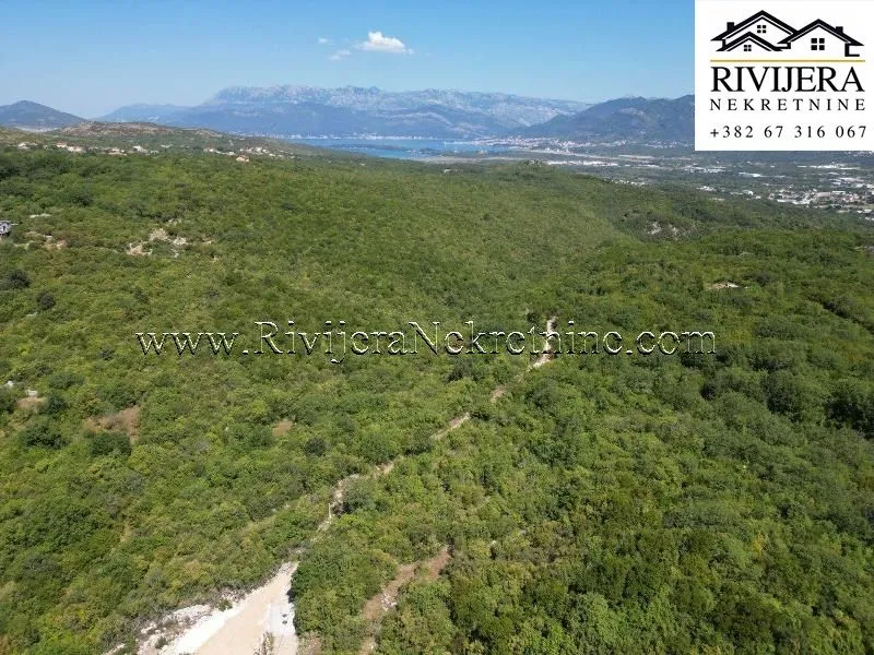 Prodaja, plac, 3247m², Radanovići, Kotor