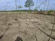 Prodaja, kuća, 257m², Mali Idjoš, Srbija - image 20