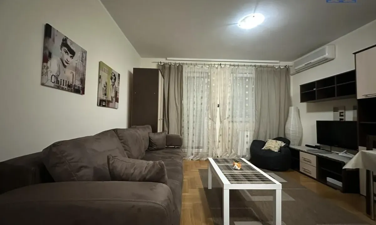 Izdavanje, garsonjera, 28m², Cara Dušana, Novi Sad Sve Podlokacije