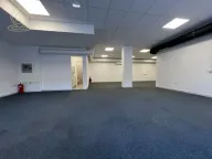 Izdavanje, poslovni prostor, 140m², Čukarica, Beograd - image 4