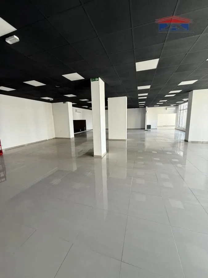 Rent, office space, 310m², Jugovićevo, Novi Sad Sve Podlokacije
