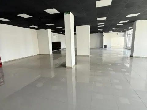 Rent, office space, 310m², Jugovićevo, Novi Sad Sve Podlokacije - image 6
