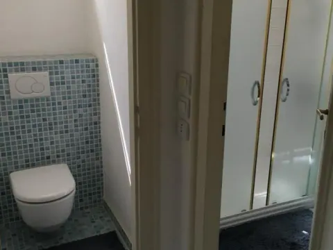 Sale, house, 170m², Vojlovica, Pančevo - image 10