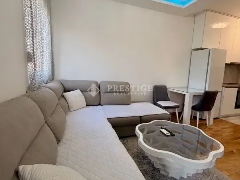 Rent, one bedroom apartment, 40m², Zagorič, Podgorica - image 2