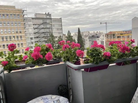 Prodaja, trosoban stan, 70m², Socijalno, Novi Sad Sve Podlokacije - image 12