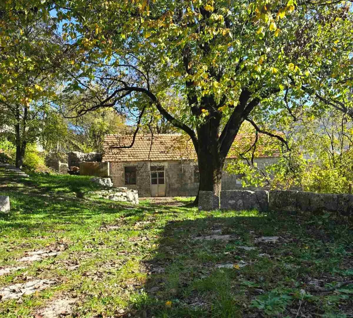 Prodaja, plac, 6000m², Cetinje, Crna Gora