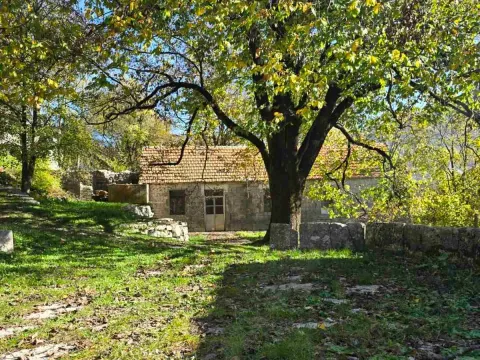 Prodaja, plac, 6000m², Cetinje, Crna Gora - image 5