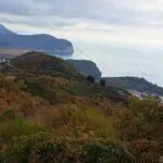 Prodaja, plac, 550m², Petrovac, Budva - image 3