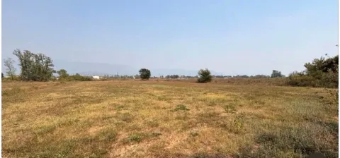 Pogled na ravno zemljište sa niskim rastinjem i drvećem u pozadini. - image 2