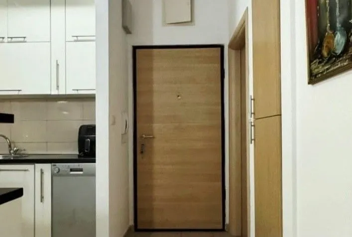 Rent, one bedroom apartment, 42m², Zabjelo, Podgorica