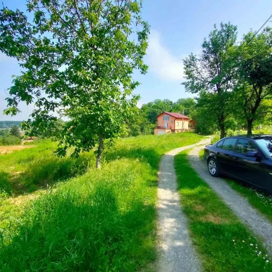 Prodaja, plac, 2400m², Ledinci, Petrovaradin