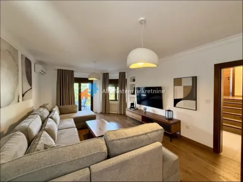 Rent, house, 250m², Višnjička Banja, Palilula Sve Podlokacije - image 6