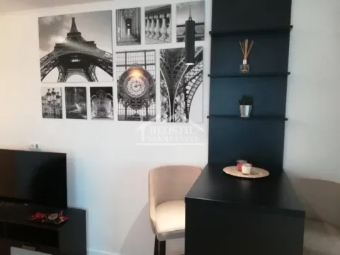 Izdavanje, jednosoban stan, 36m², Lekino Brdo, Voždovac Sve Podlokacije - image 3