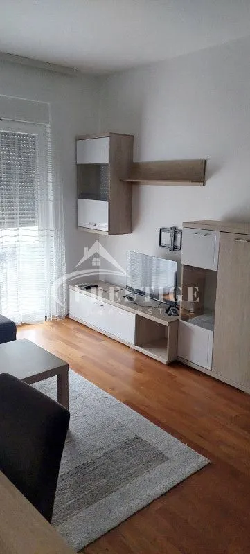 Rent, one bedroom apartment, 40m², Zabjelo, Podgorica