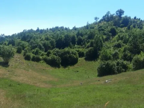 Land Lot for Sale, 650000m2, Čevo, Cetinje Land Lot for Sale, 650000m2, Čevo, Cetinje