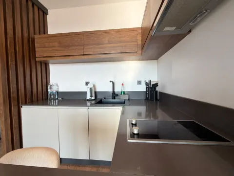 Moderna kuhinja sa tamnim radnim površinama, ugradnom pločom i drvenim elementima. - image 6