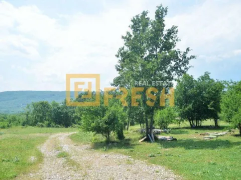 Sale, land lot, 33000m², Ostalo, Podgorica