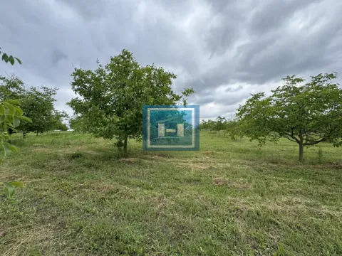 Prodaja, plac, 22800m², Stubica, Paraćin - image 5