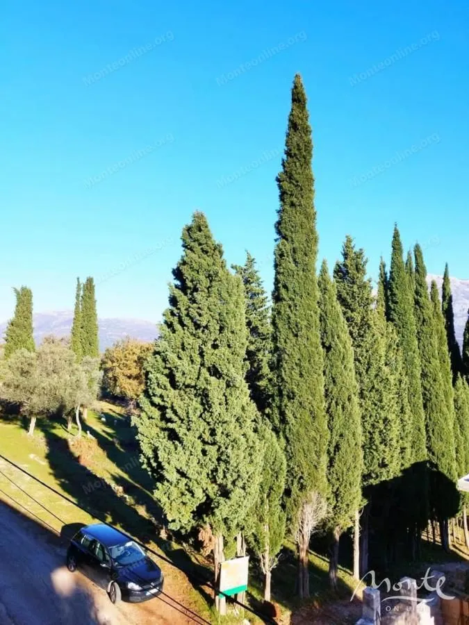 Prodaja, plac, 2390m², Sutorina, Herceg Novi