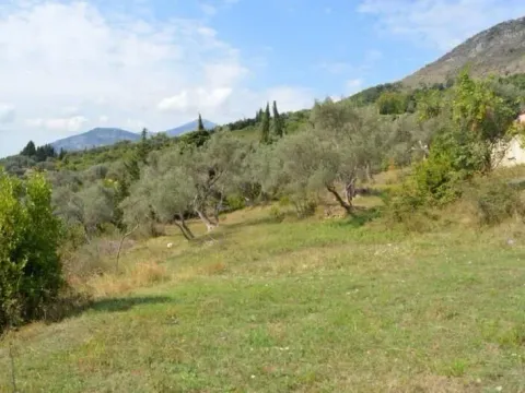 Prodaja, plac, 3000m², Velembusi, Bar - image 7