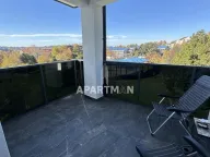 Izdavanje, jednosoban stan, 50m², Zvezdara Sve Podlokacije, Beograd - image 11