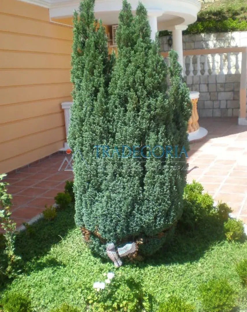 Prodaja, stan, 470m², Petrovac, Budva