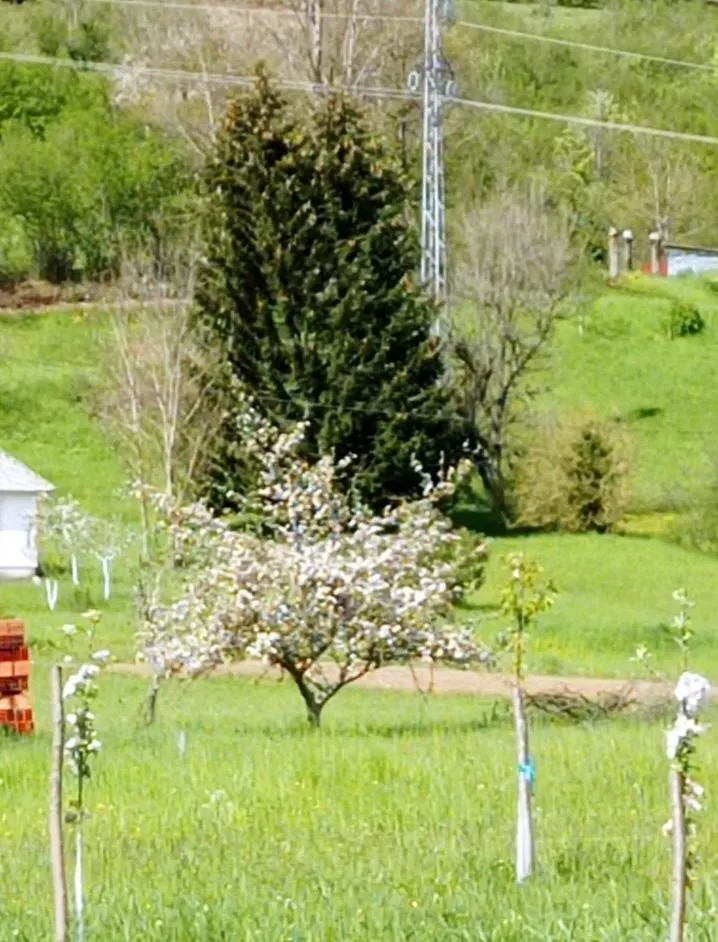 Prodaja, plac, 600m², Kolašin, Crna Gora