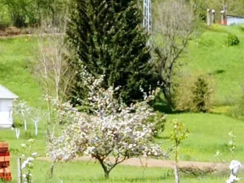 Prodaja, plac, 600m², Kolašin, Crna Gora - image 3