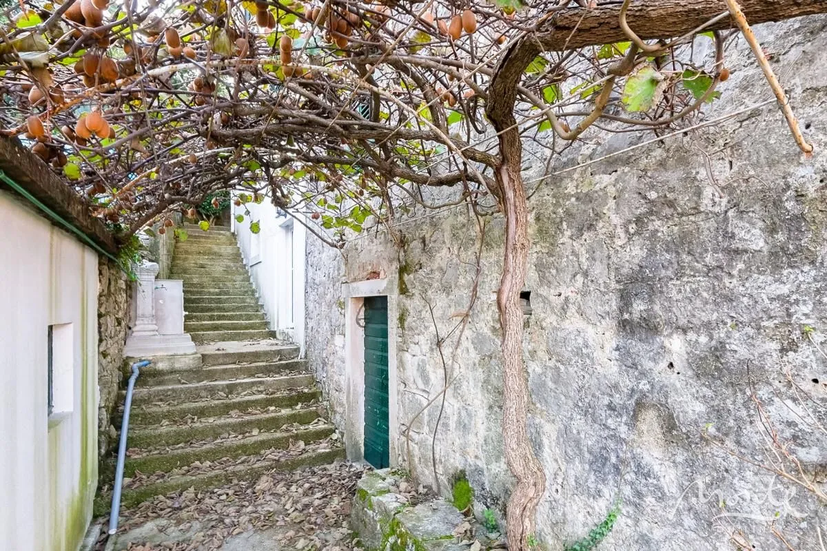 Prodaja, kuća, 333m², Kostanjica, Kotor
