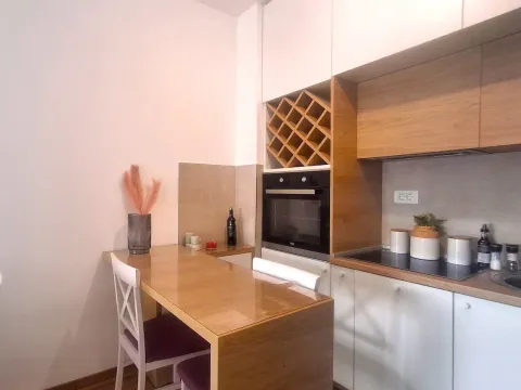 Izdavanje, stan, 43m², Zagorič, Podgorica - image 2