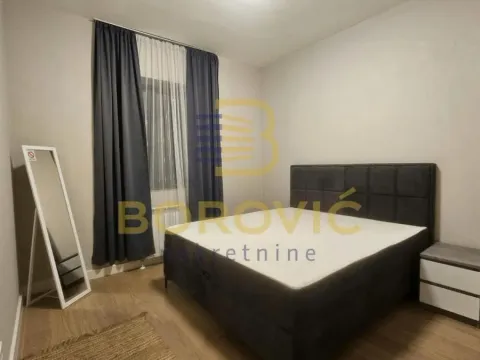 Izdavanje, dvosoban stan, 53m², Savski Venac, Beograd - image 8