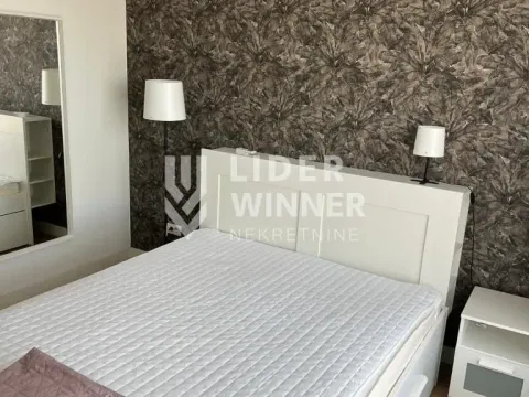 Izdavanje, dvosoban stan, 54m², Savski Venac, Beograd - image 10