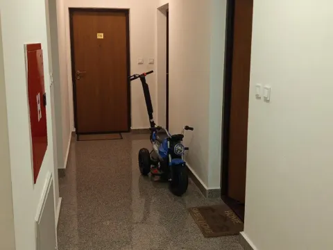 Izdavanje, jednosoban stan, 44m², Budva, Crna Gora - image 12