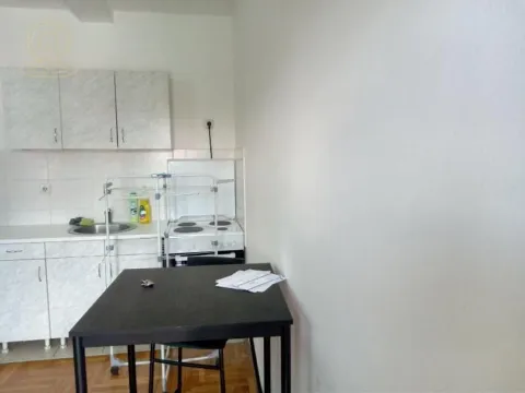 Izdavanje, garsonjera, 25m², Adamovićevo Naselje, Novi Sad Sve Podlokacije - image 3