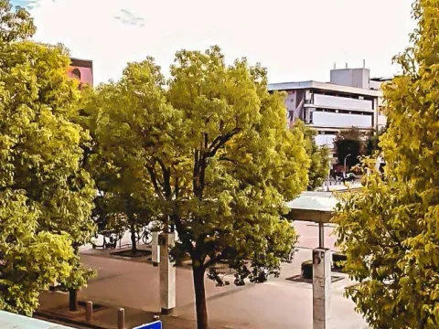 Izdavanje, jednosoban stan, 50m², Centar, Podgorica - image 2