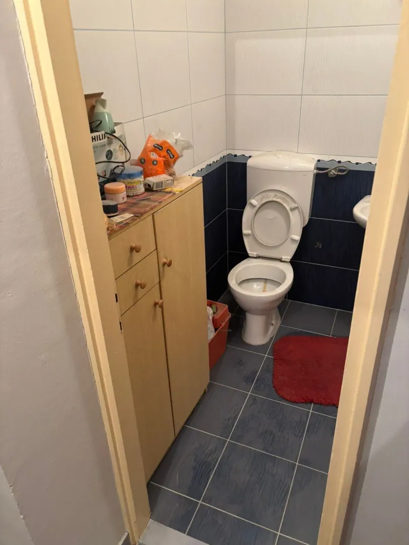 Manje kupatilo sa WC šoljom, ormarićem i pločicama.