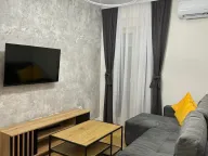 Izdavanje, stan, 40m², Central Point, Podgorica - image 10