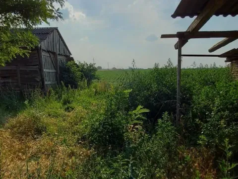 Sale, house, 75m², Čenej, Novi Sad Sve Podlokacije - image 7