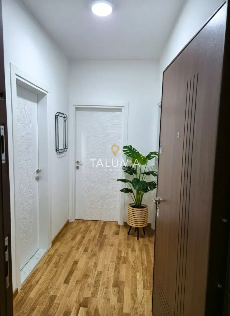 Rent, one bedroom apartment, 47m², Zagorič, Podgorica