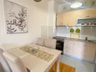 Izdavanje, jednosoban stan, 45m², City Kvart, Podgorica - image 9