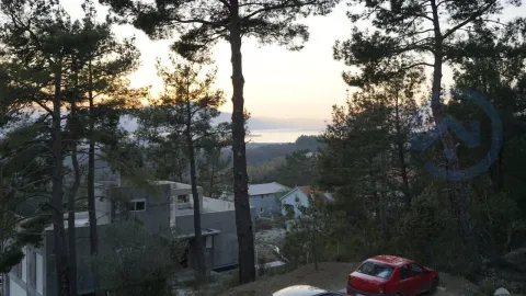 View of the sea and hills through pine trees from an elevated position. - image 15