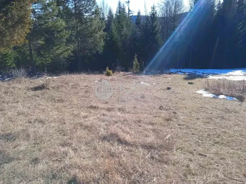 Sale, land lot, 1100m², Tara, Srbija - image 5