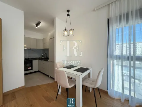 Izdavanje, jednosoban stan, 50m², City Kvart, Podgorica - image 3