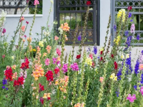 Prodaja, kuća, 169m², Kovači, Kotor - image 14