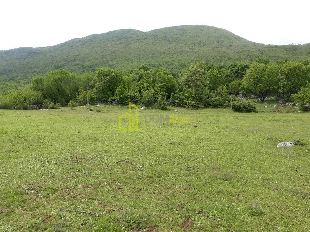 Prodaja, plac, 42349m², Zagreda, Danilovgrad