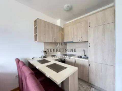 Izdavanje, jednosoban stan, 41m², Stari Aerodrom, Podgorica - image 7