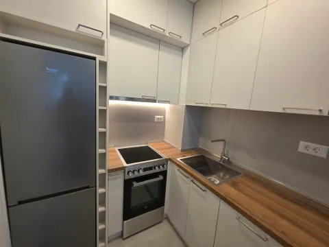 Izdavanje, jednosoban stan, 46m², Stari Aerodrom, Podgorica - image 4