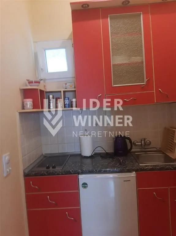 Sale, one bedroom apartment, 22m², Cvetni Trg, Vračar Sve Podlokacije