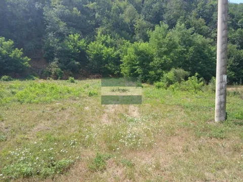 Prodaja, plac, 2581m², Novo Lanište, Jagodina - image 4