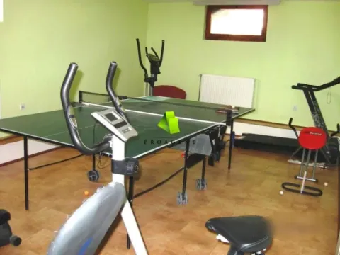 Izdavanje, kuća, 650m², Crveni Krst, Niš - image 10